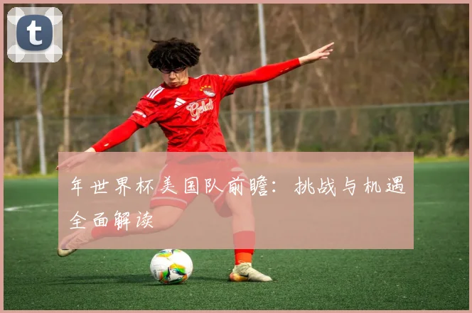 年世界杯美国队前瞻:挑战与机遇全面解读